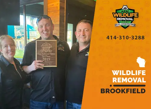 Brookfield Wildlife Removal professional removing pest animal