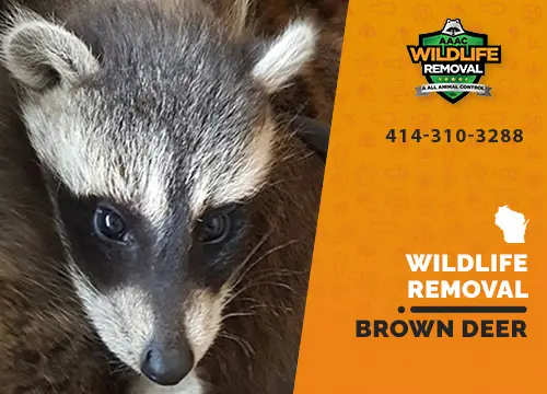 Brown Deer Wildlife Removal professional removing pest animal