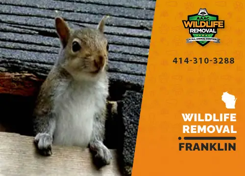 Franklin Wildlife Removal professional removing pest animal