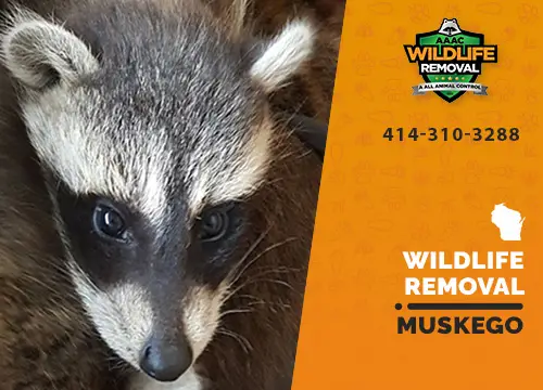Muskego Wildlife Removal professional removing pest animal