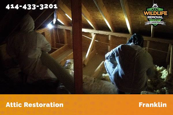 Attic Restoration Franklin