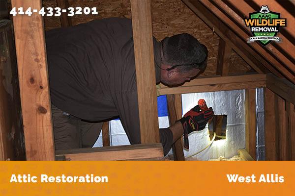 Attic Restoration West Allis