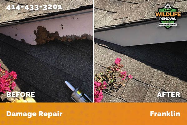 Damage Repair Franklin