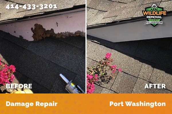 Damage Repair Port Washington
