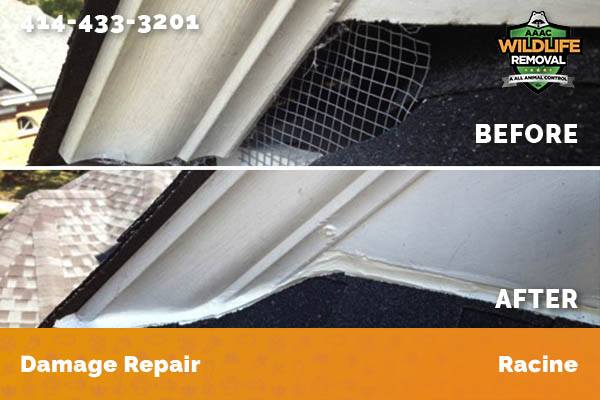 Damage Repair Racine