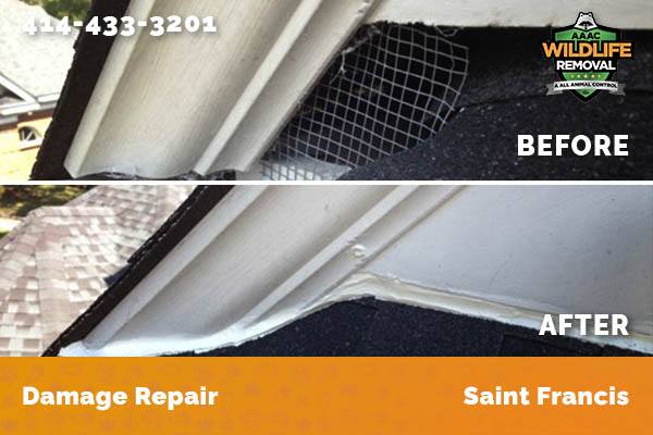 Before and After photo of Raccoon damage repair in Saint Francis