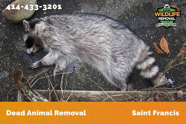 Dead Animal Removal Saint Francis