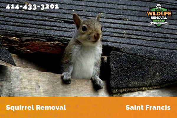 Roof Fire caused by squirrels chewing on electrical wires in Saint Francis