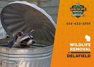 Delafield Wildlife Removal professional removing pest animal