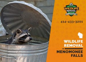 Menomonee Falls Wildlife Removal professional removing pest animal